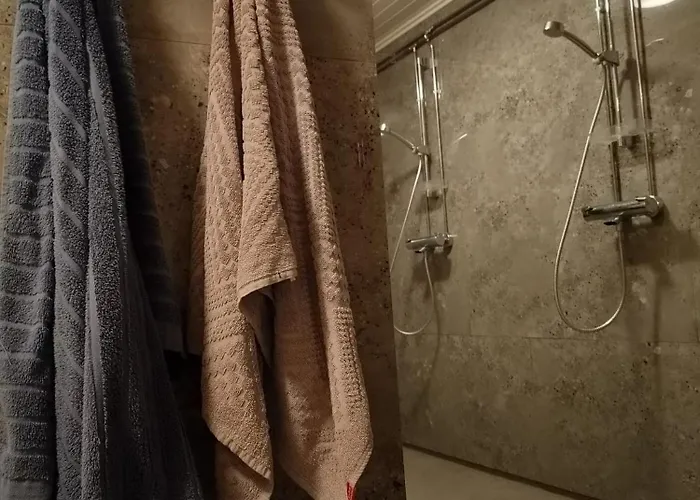 Bed And Sauna 罗瓦涅米